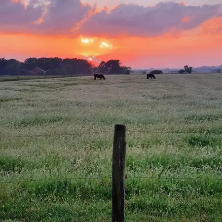 Haus Wolltoeft 'abendstern Whg9', *